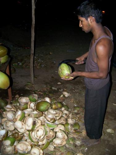 A Fresh Coconut (bangalore_100_1850.jpg) wird geladen. Eindrucksvolle Fotos von der indischen Halbinsel erwarten Sie.